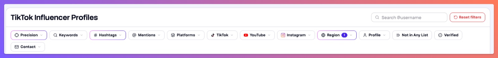 Discover filter bar with precision, hashtags and one region selected, next to keyword, mentions, platform, TikTok, YouTube, Instagram, profile and contact filters